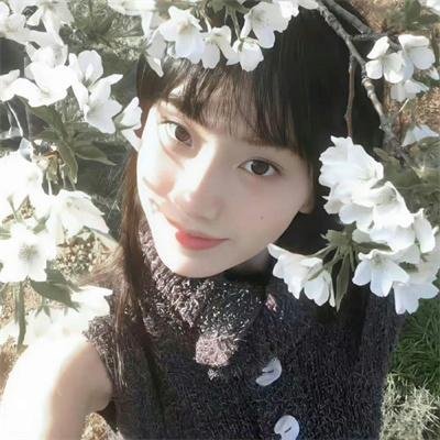 尚岷与丁尼奥